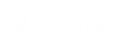 MultiPrime Marketing